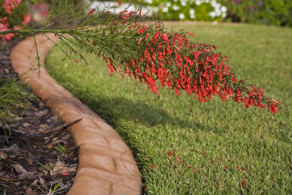 Brick Edging in Stillwater