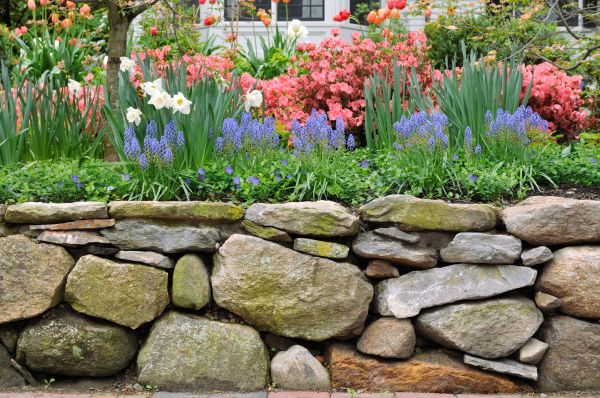 Stone Wall Hardscaping in Stillwater