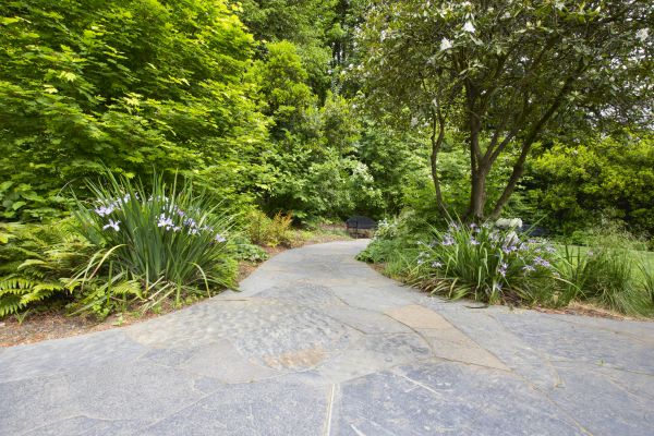 Stone Hardscape Service